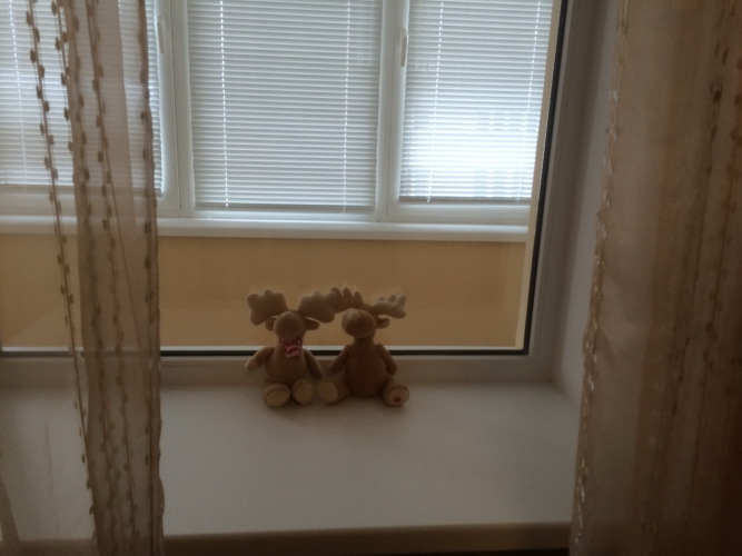 Апартаменты на Шустова 4, фото 14