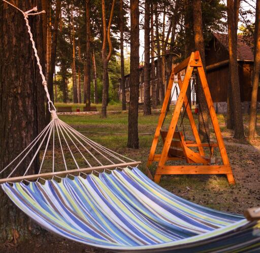 Алсма, фото 38