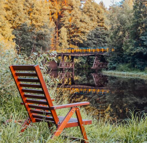 Алсма, фото 40