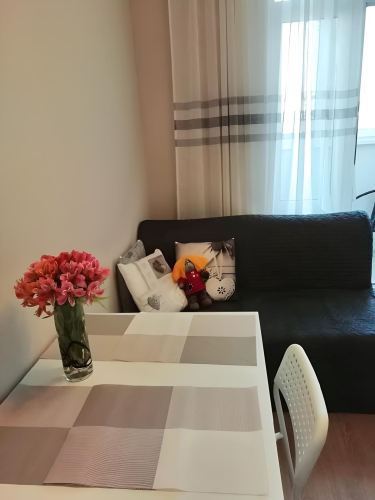 Апартаменты Марина, фото 14