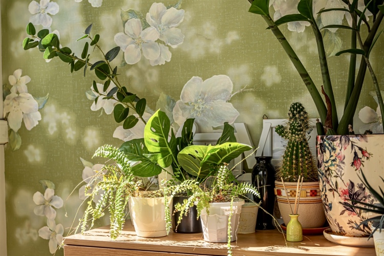 Квартира Монро, фото 64