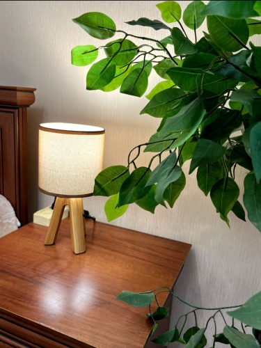 Апартаменты Белые Росы, фото 36