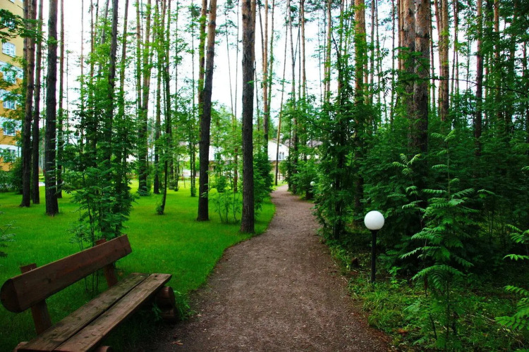 Апартаменты Яхонтовый Лес, фото 50