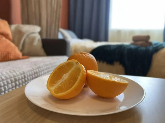 Диван и чемодан на Ватутина, фото 39