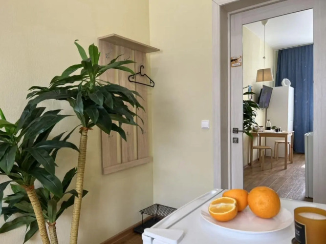 Диван и чемодан на Ватутина, фото 48