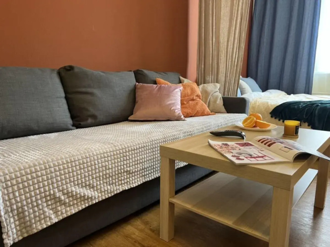 Диван и чемодан на Ватутина, фото 76