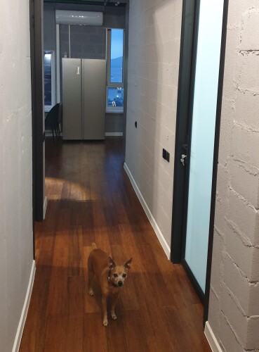 Апартаменты Green Lamp Downtown, фото 26