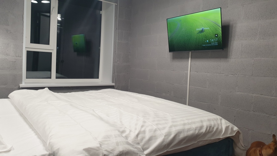 Апартаменты Green Lamp Downtown, фото 46