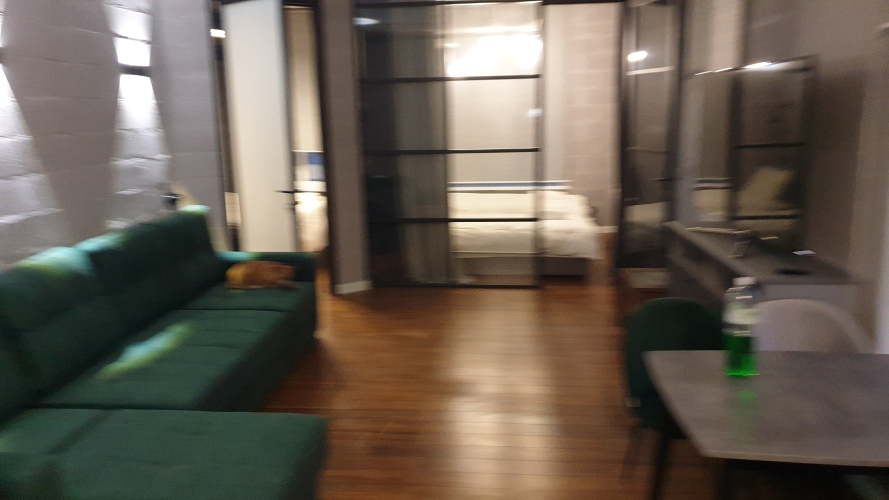 Апартаменты Green Lamp Downtown, фото 60