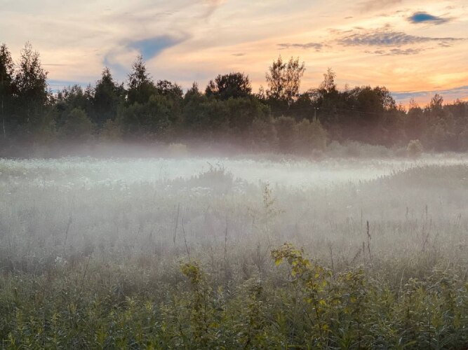 Valdajskaya Tropa Kemping	, фото 13
