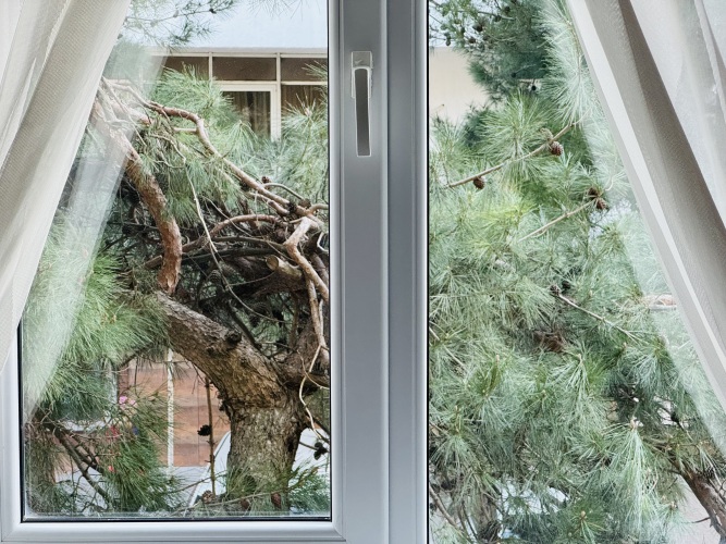 Апартаменты Лермонтовский бульвар, фото 53