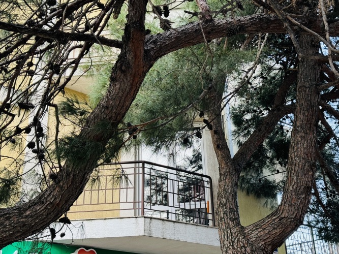 Апартаменты Лермонтовский бульвар, фото 54