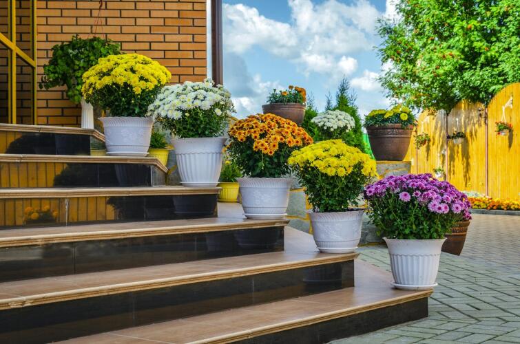 Линь, фото 59