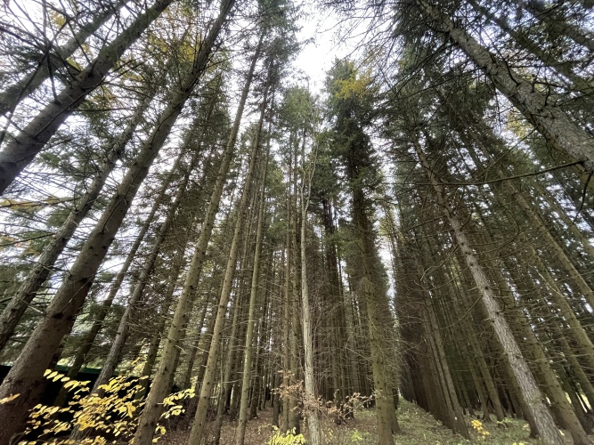 Гостевой дом На Заре, фото 32