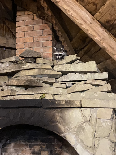 Отель Отрада, фото 48