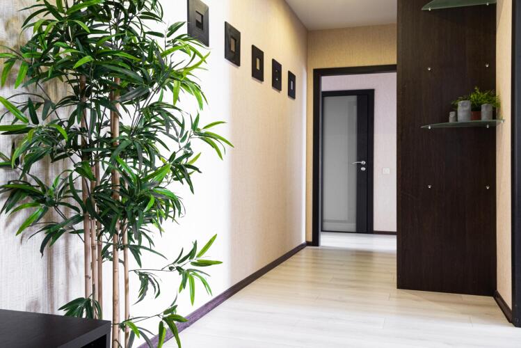 Апартаменты Степаненков на Соболева, фото 60