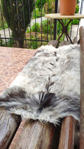 База Отдыха Романтик-2, фото 29