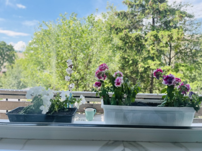 Апартаменты Салтыкова-Щедрина 17, фото 24