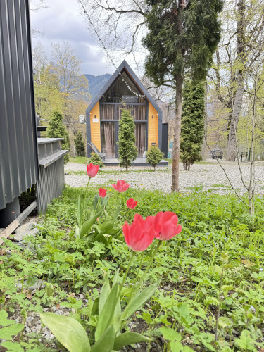 Мини-отель Wood Villas, фото 57