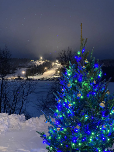 Вилла Ялхаус, фото 41