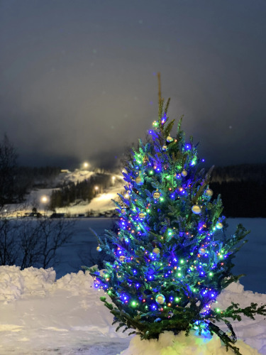 Дом Ялхаус #2, фото 31