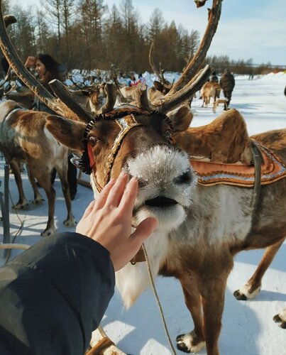 Кемпинг Sava Syo, фото 10
