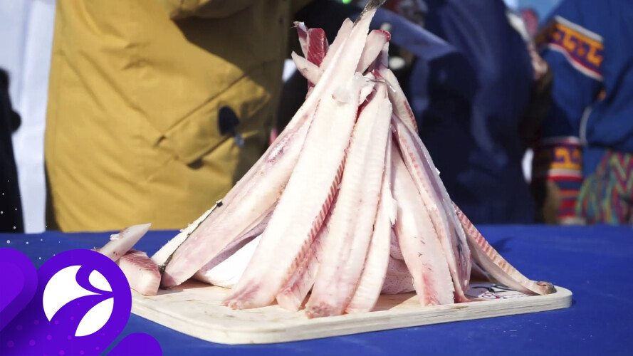 Кемпинг Sava Syo, фото 13