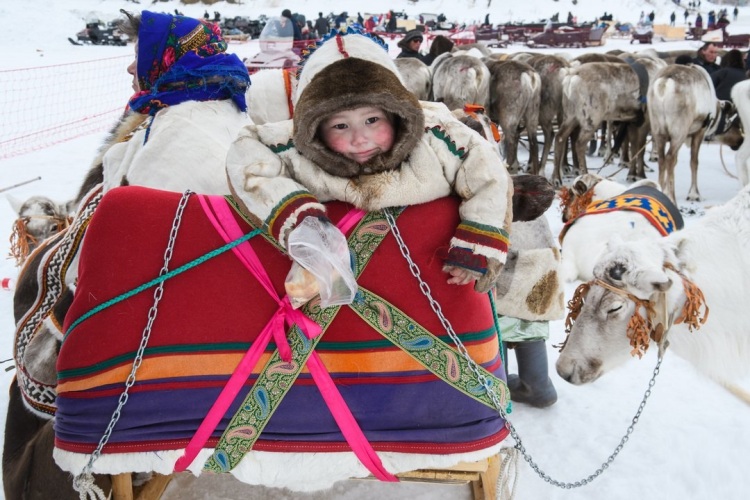 Кемпинг Sava Syo, фото 14