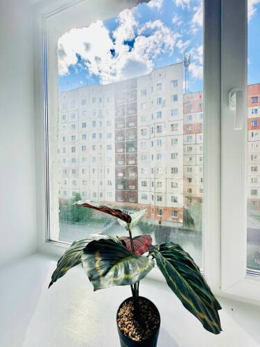 Апартаменты Заводская 5-А, фото 52