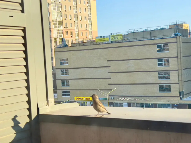 Апартаменты Эрвье Аквапарк ВыДома, фото 18