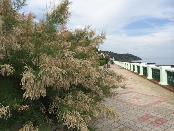 Алые паруса, фото 67