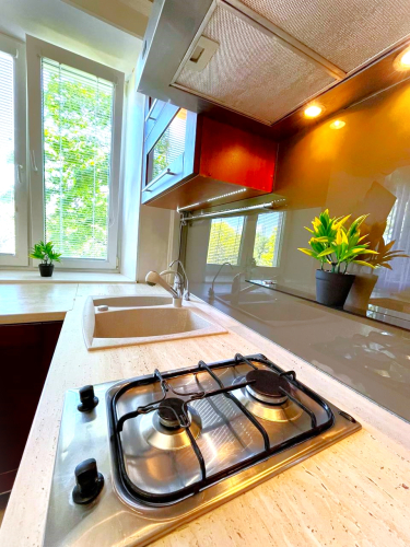 Квартира Уютная 2-х комнатная в 1 минуте от метро Академическая, фото 48