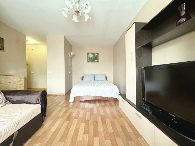 Квартира однокомнатная в центре на Дарвина, фото 21