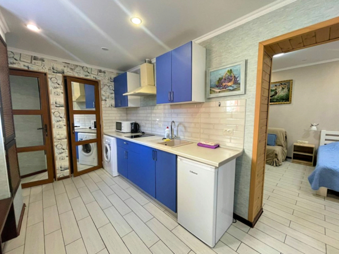 Апартаменты-Буачидзе «Виноградный домик 2к», фото 23