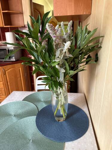 Квартира для командировочных с 4 раздельными спальными местами, фото 32