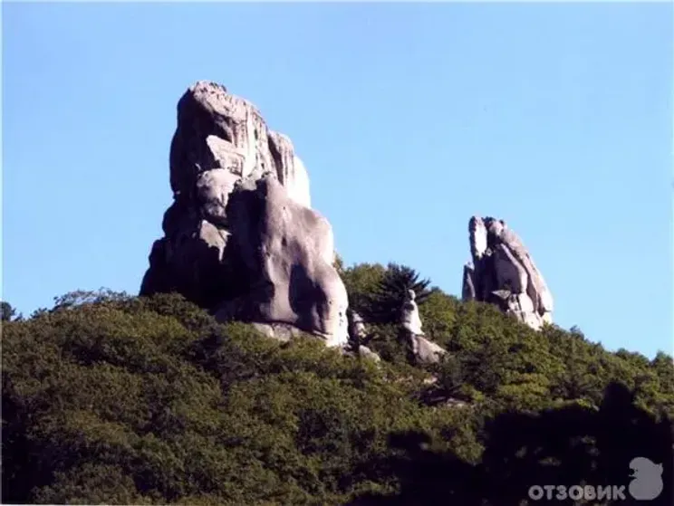 Город драконов. Чистоводное Приморский край парк драконов большой дракон. Статуи Чистоводное Приморский край. Гора Атлант в Приморском крае. Парк драконов в Приморском крае фото.