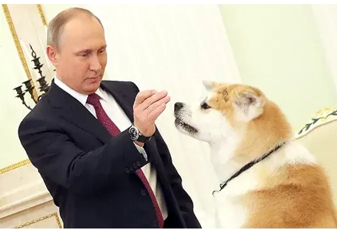 Порода Собак У Путина Фото