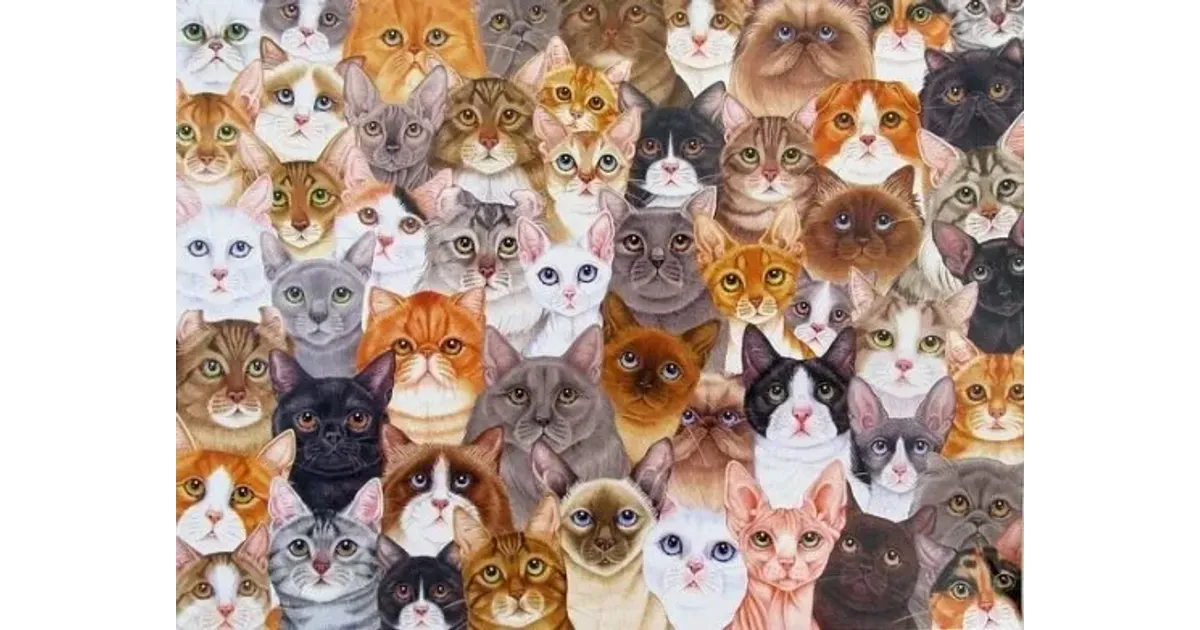 Многие коты