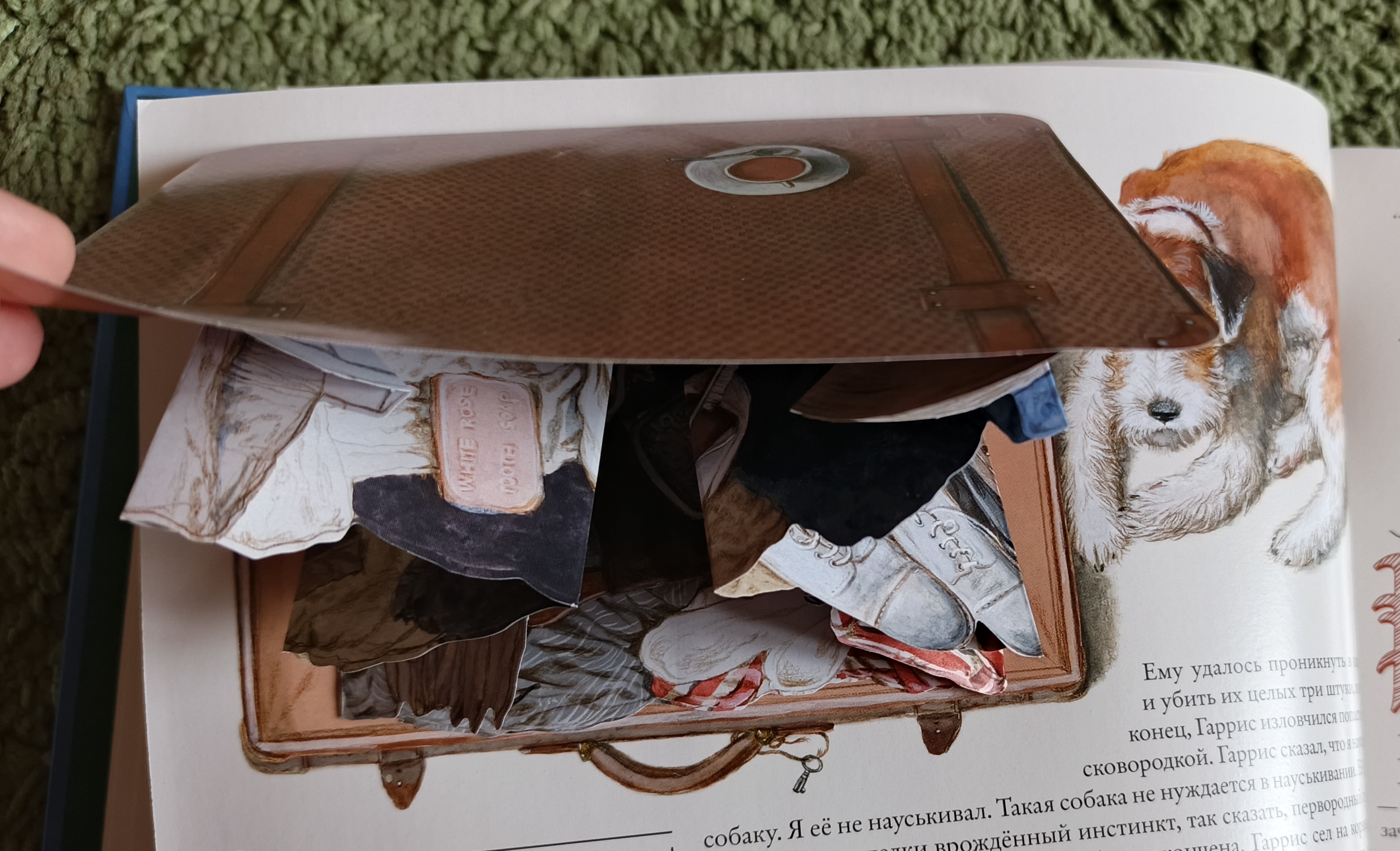 Изображение