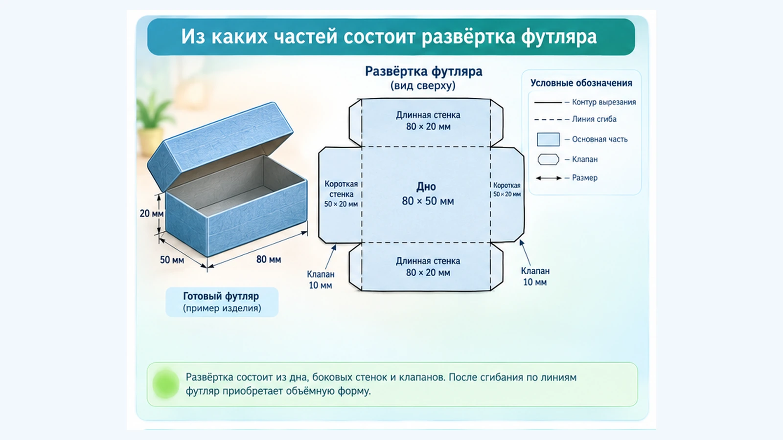 Части развёртки прямоугольного футляра: дно, боковые стенки, линии сгиба и клапаны