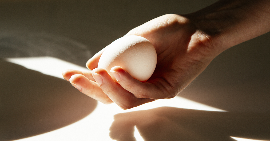 Кулинарная группировка с яйцами: как проект Eggsellent зарабатывает на фанатах завтраков и апероля
