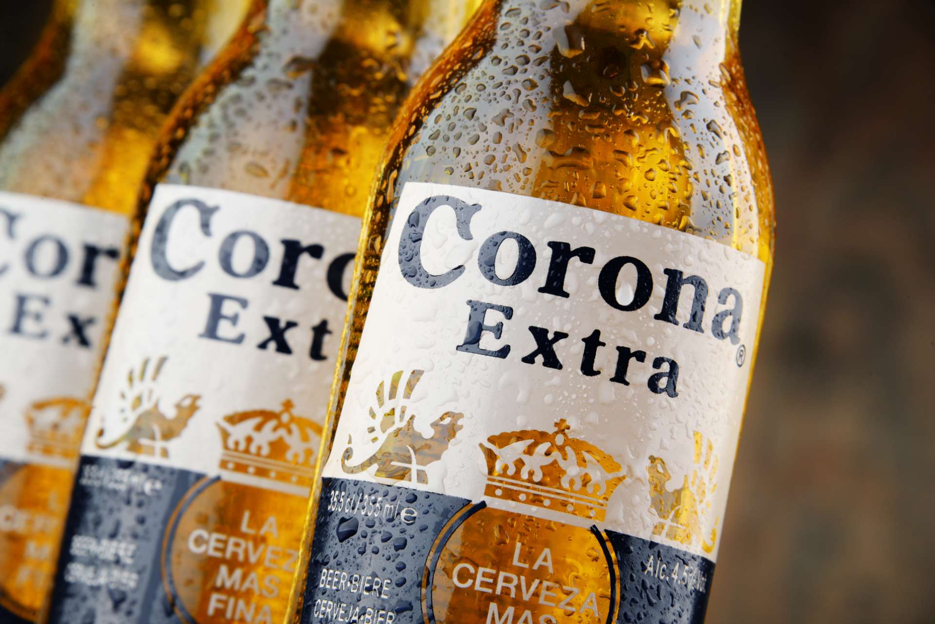 Как пить пиво корона. Corona cerveza пиво. Корона Экстра пиво фото. Пиво бутылочное.