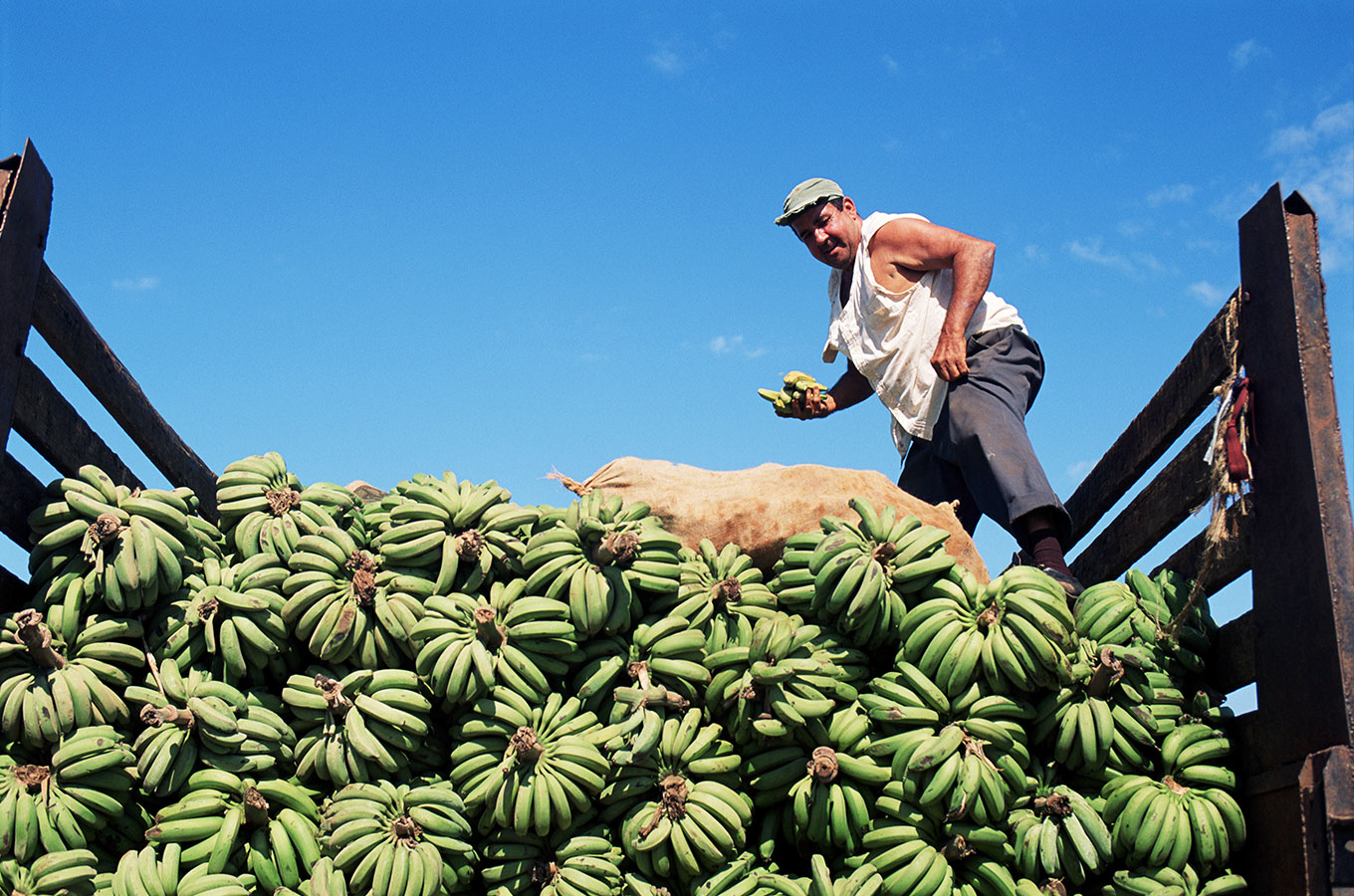 Как бразильский триатлонист подсадил американцев на снэки из некондиционных бананов