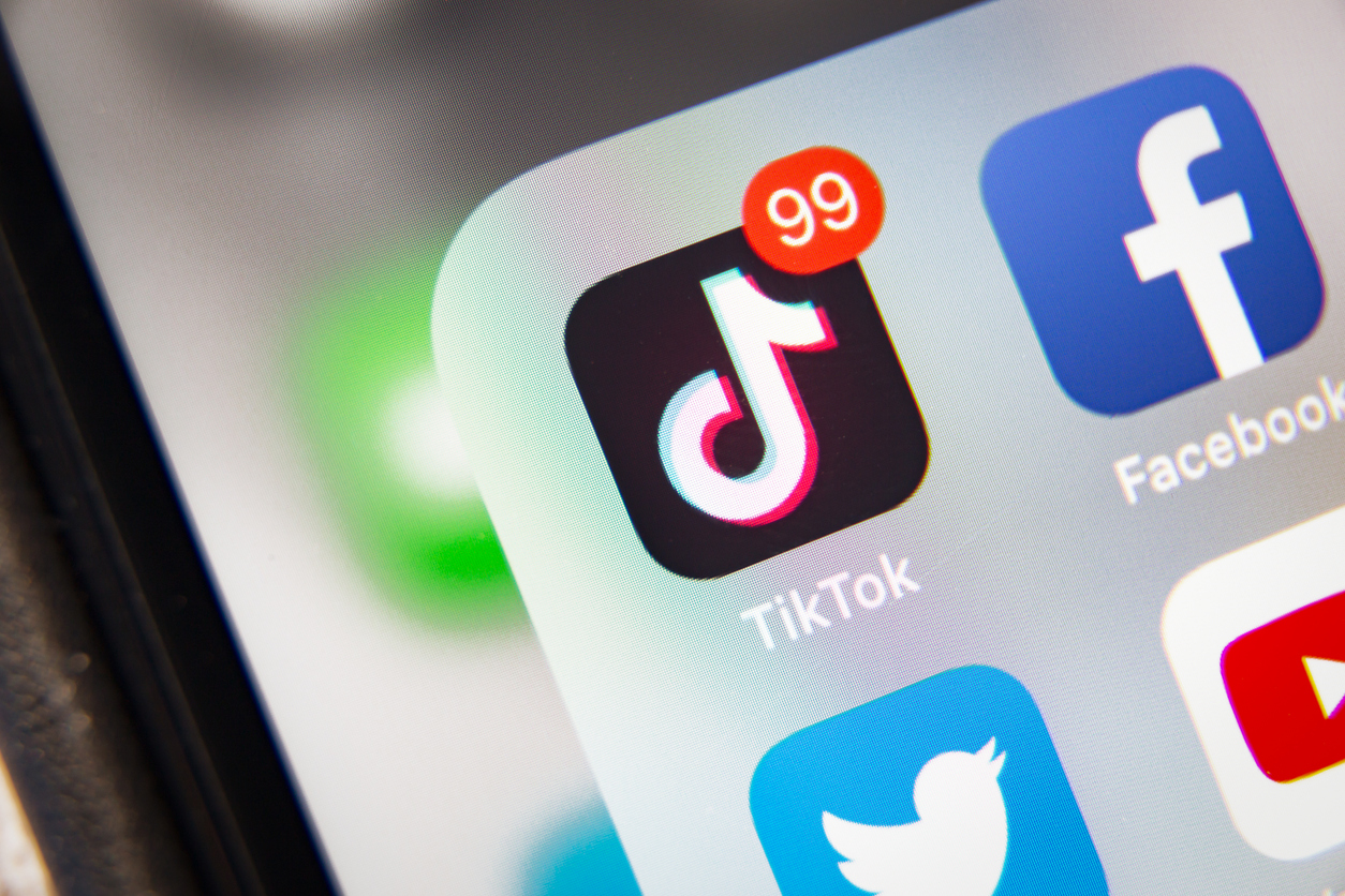 Избирком Ростова потратит 2,2 млн руб. на рекламу выборов в TikTok          