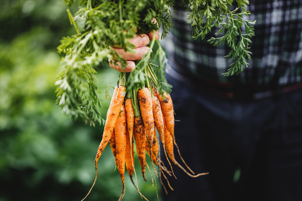 Фермерам разрешат продавать продукцию на своих участках