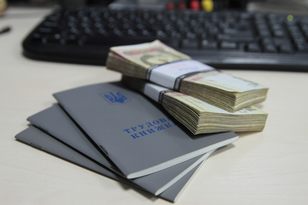 В России с 2023 года начнут использовать трудовые книжки нового образца