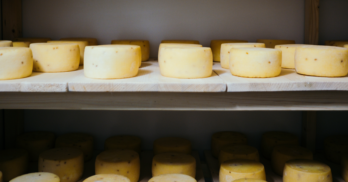 Сыр с одной шутки: история семейной сыроварни «Папа-сыровар»          