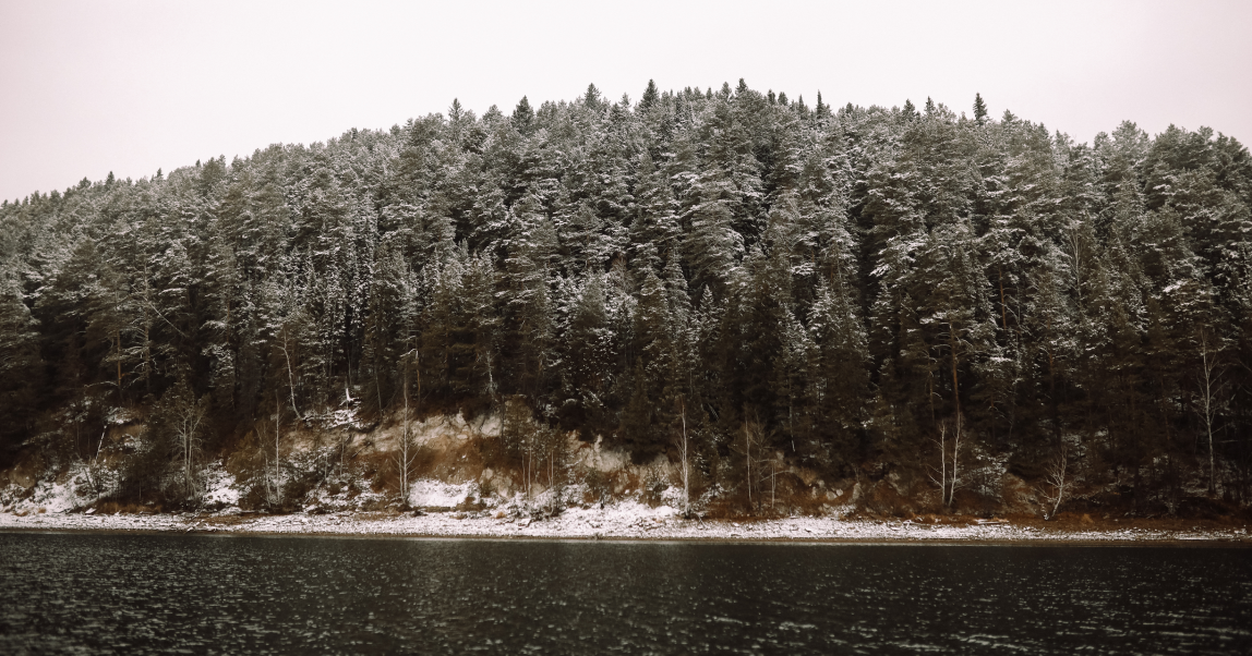 Современное фермерство: Как сегодня в России развивается натуральное хозяйство