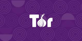 Роскомнадзор разблокировал сайт Tor