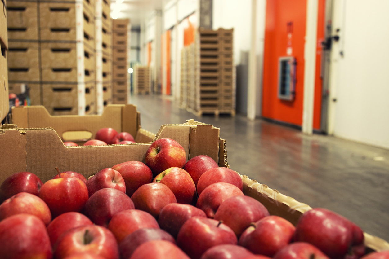 Самокат запустил доставку продуктов в формате жесткого дискаунтера